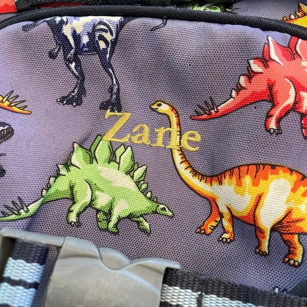 Pottery Barn Kids small dinosaur‎ backpack